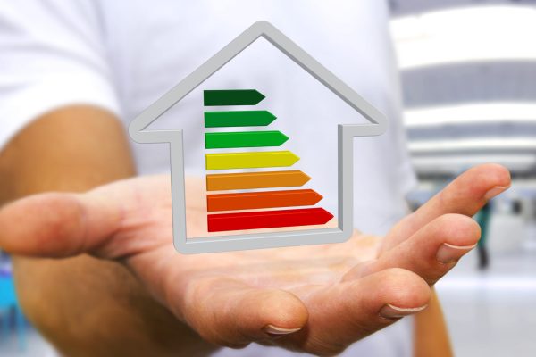 Businessman with 3D eco house and energy efficiency in his hand
